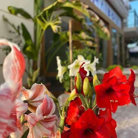 μελίβοια-hotel Melivoia Otel